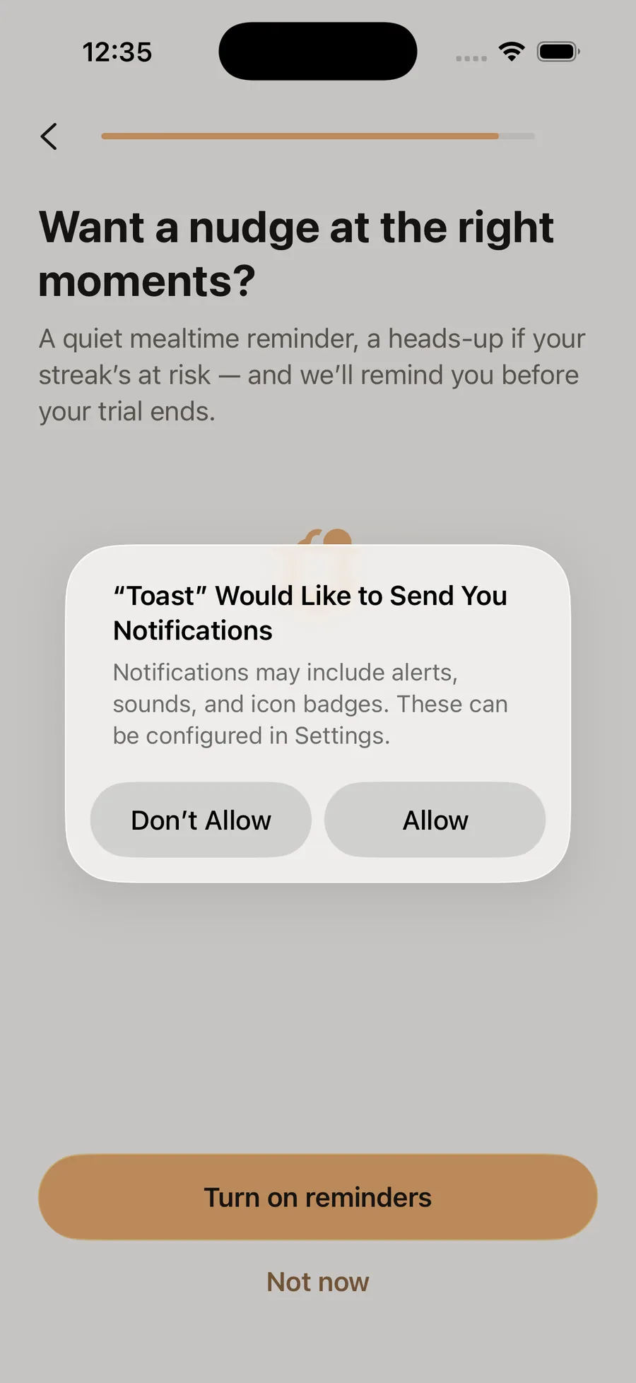 Toast onboarding asking to enable reminders, with the native iOS notification permission dialog showing the app's name